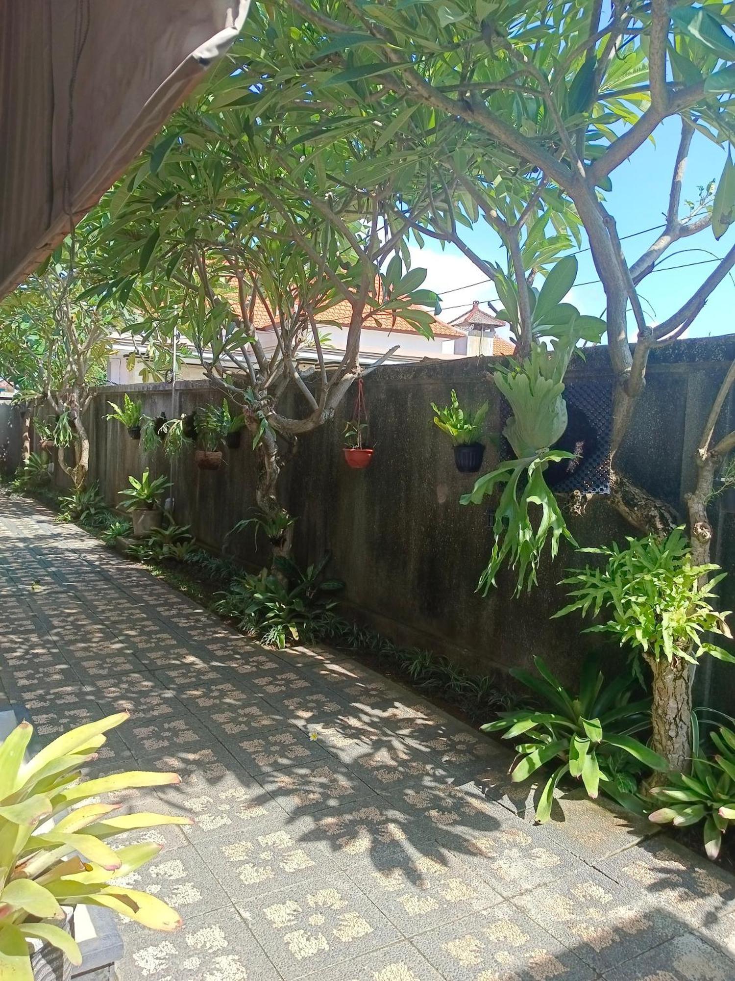 Accommodatie bij particulieren Taman Bali
